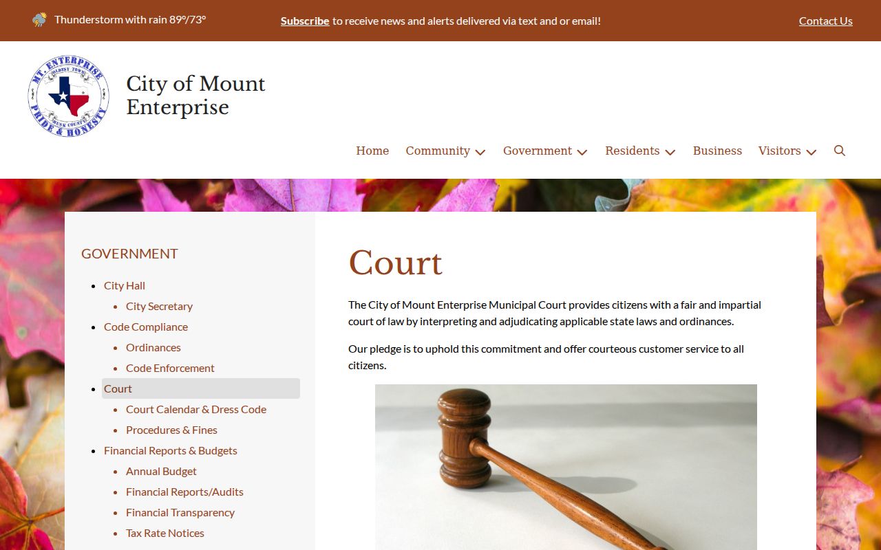 Official Mount Enterprise Municipal Court docket page